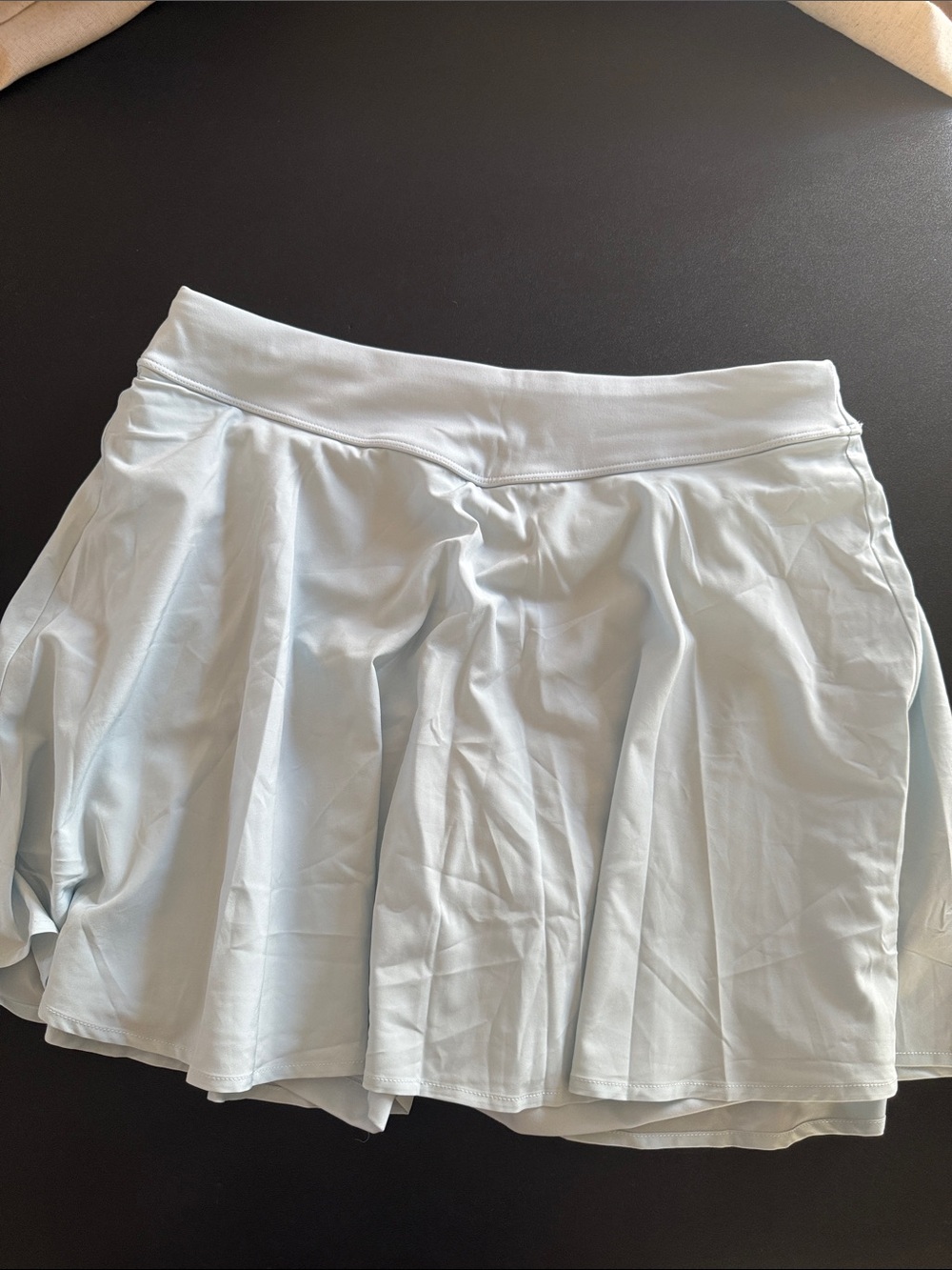Bad Birdie Light Blue Circle Skirt